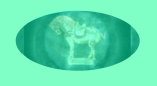 050105_king_louis_xvi_clock_ebay_scam_capodimonte001025.jpg